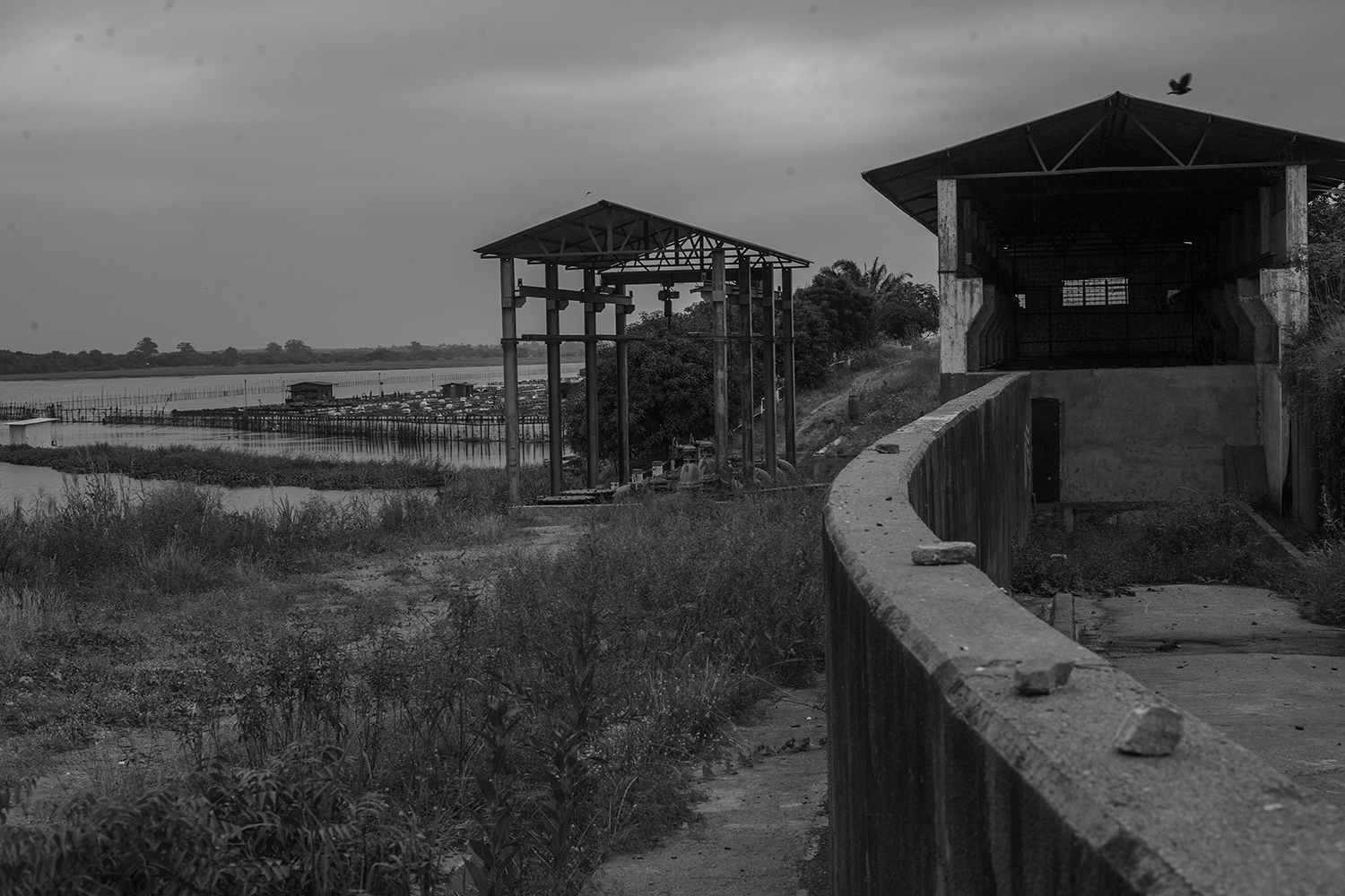 Comprehensive Human Capital Asessment